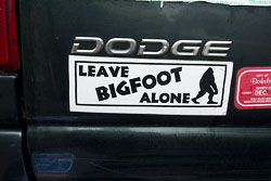 bigfoot bumpersticker thumbnail graphic